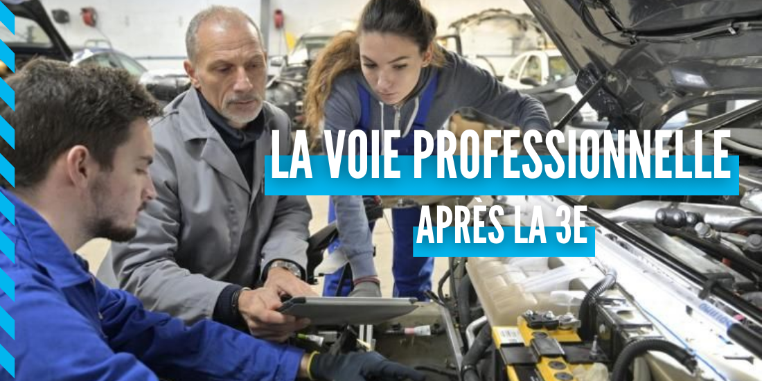 orientation-3e-choisir-la-voie-professionnelle