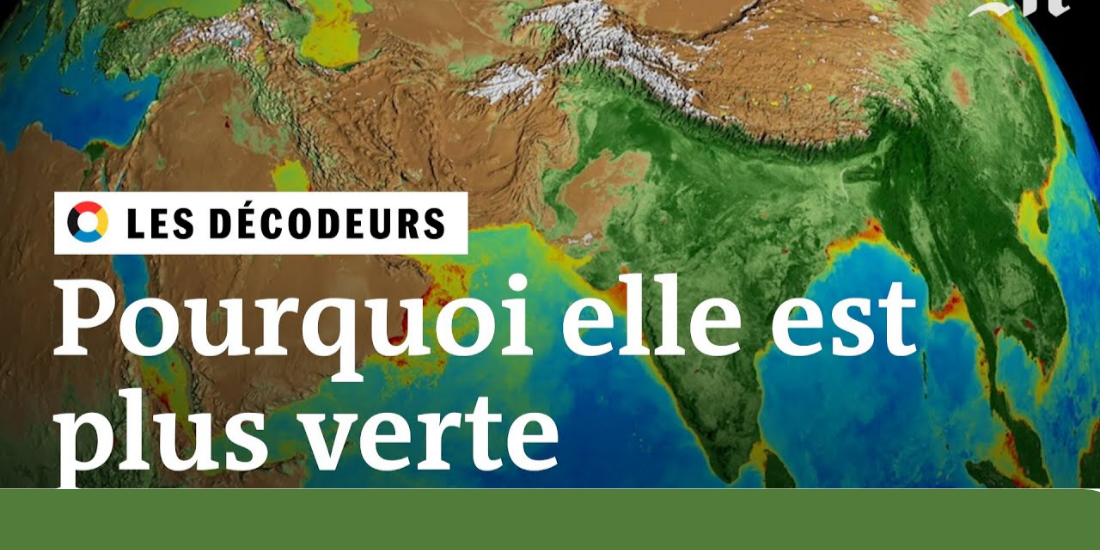 ecologie-pourquoi-la-planete-est-elle-plus-verte