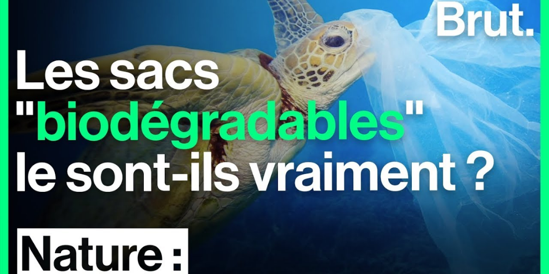 sacs-biodegradables-quel-impact-ecologique