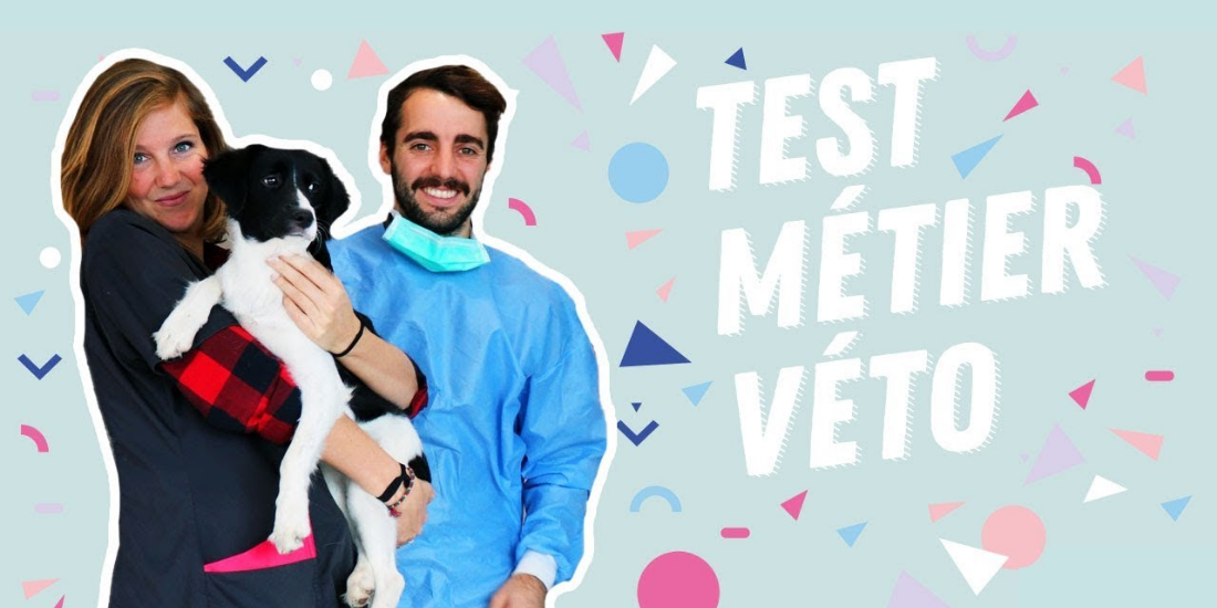 meet-my-job-veterinaire