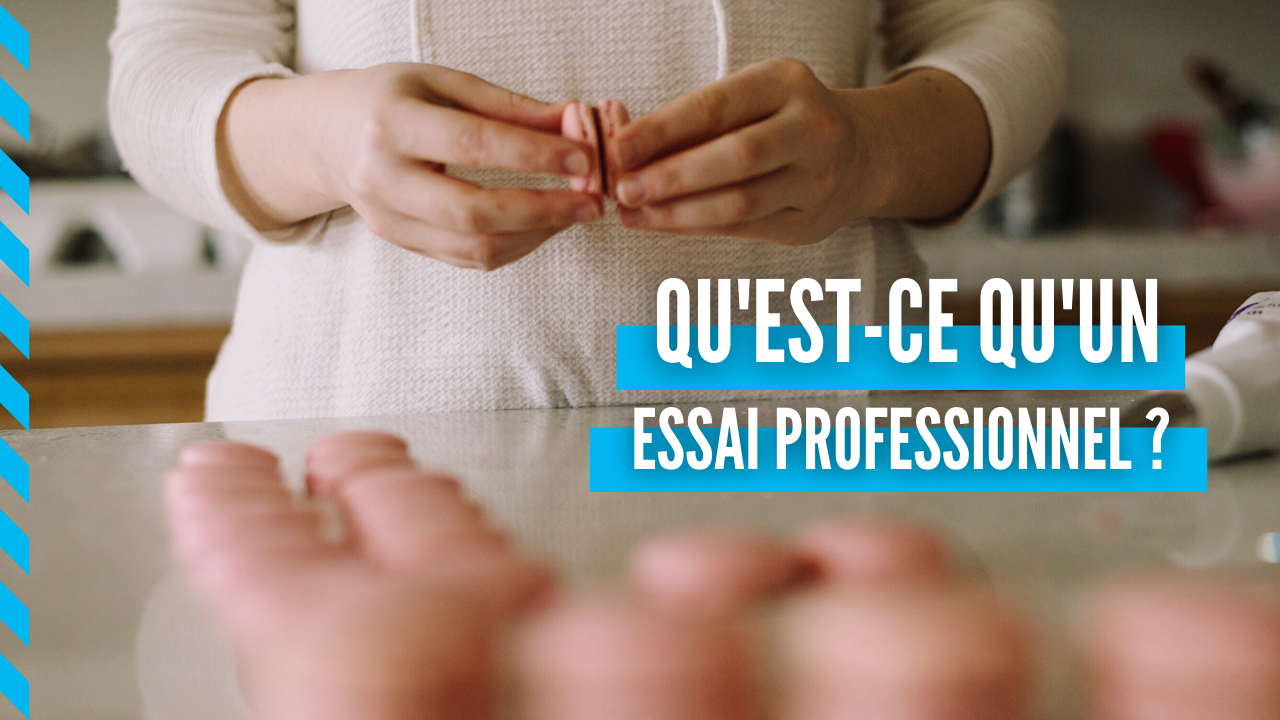 lessai-professionnel-une-particularite-de-la-voie-professionnelle